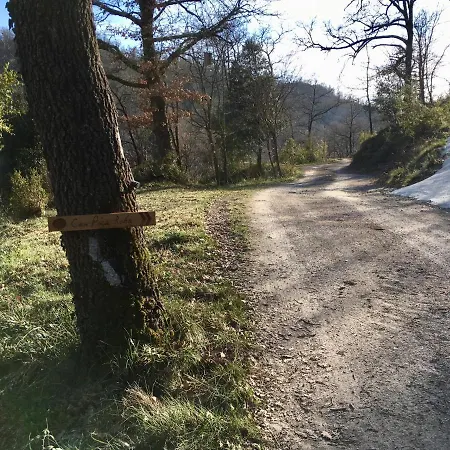 Poca Roba San Pedro de Torelló