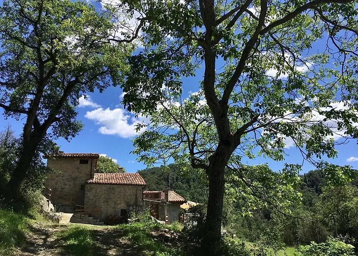 Летний дом Poca Roba Sant Pere de Torello